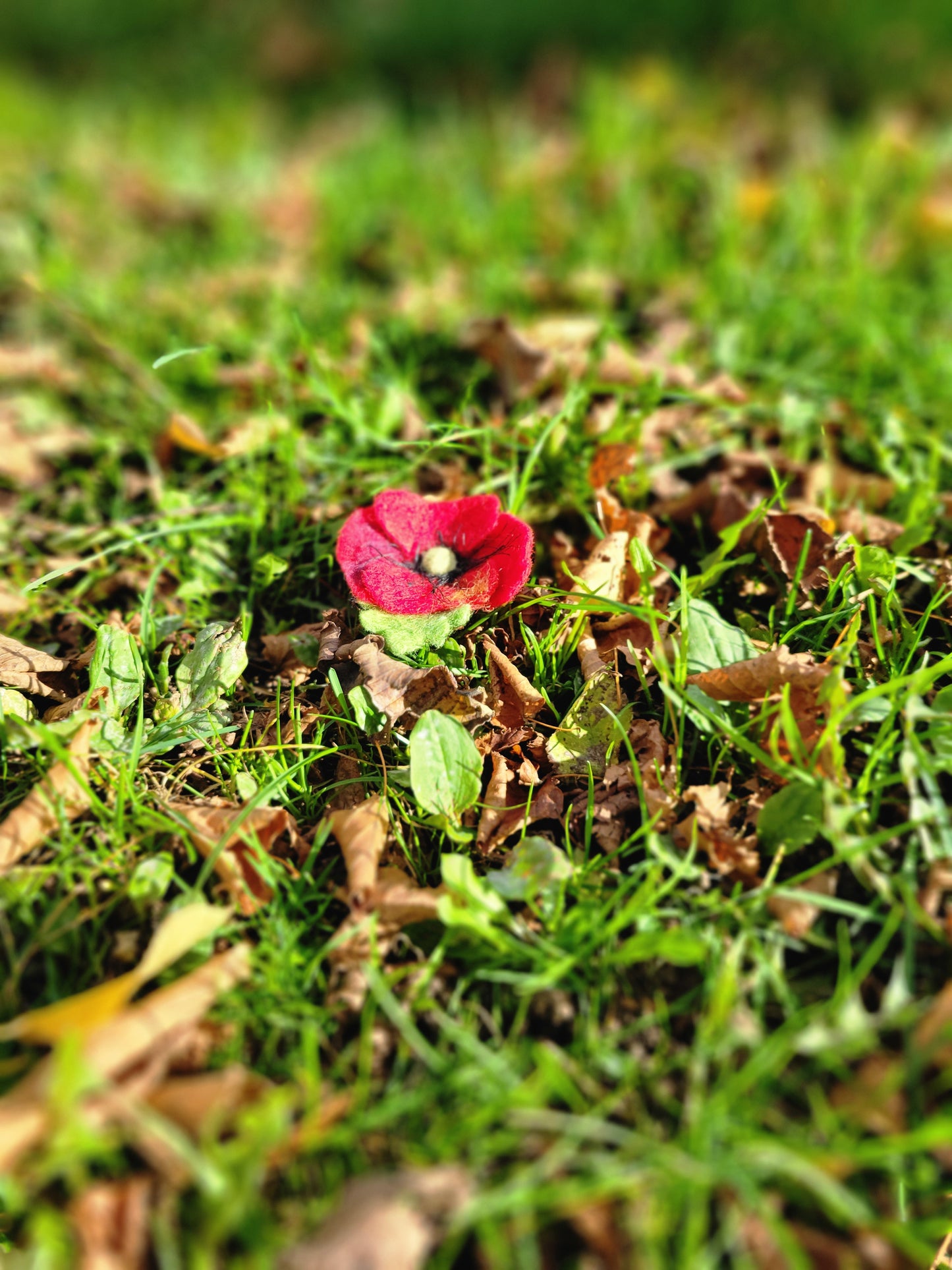 Poppy Pins - Supporting Royal Canadian Legion